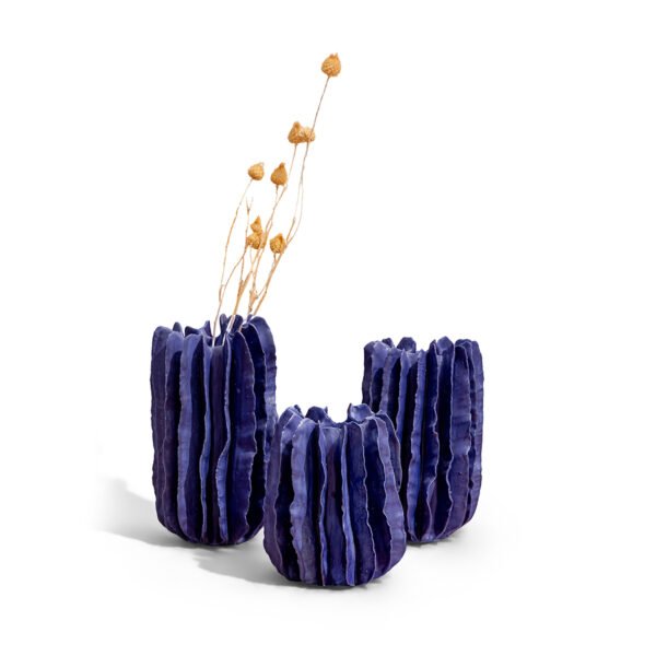 Ruffled Blue Soliflore S1, 2024