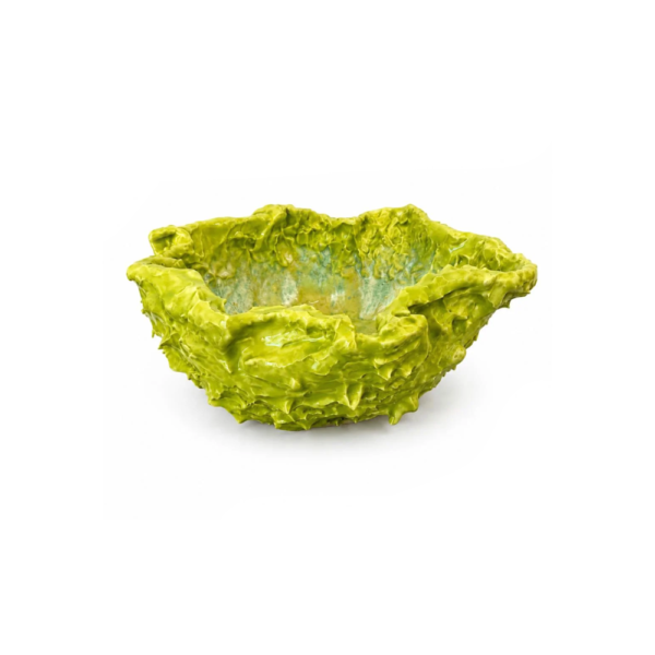 Shell, mediterranean mood collection, 2026
