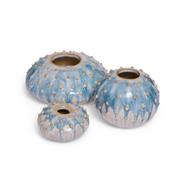 Blue Tide, the pebble saga, 2025