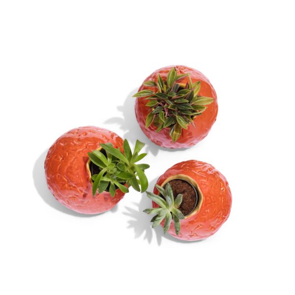 les desorientes vase, planters series, 2025