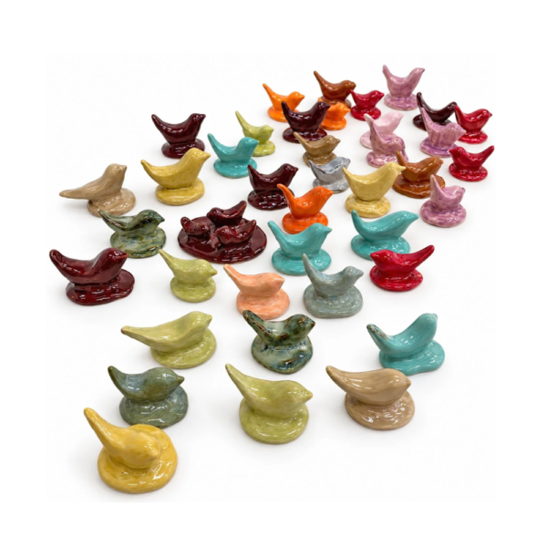 Oiseaux en couleur, the birds collection, 2026
